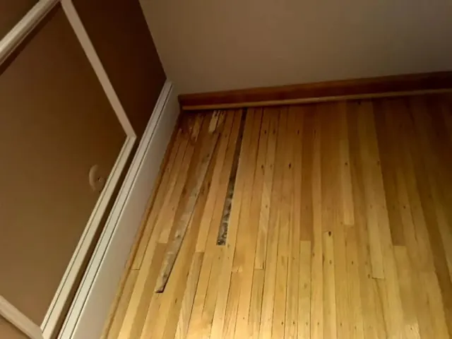 Overhead view of newly installed hardwood flooring with straight board alignment