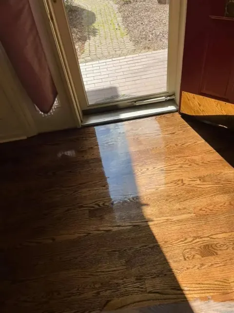 Sunlight streaming through a glass door onto freshly refinished hardwood floors